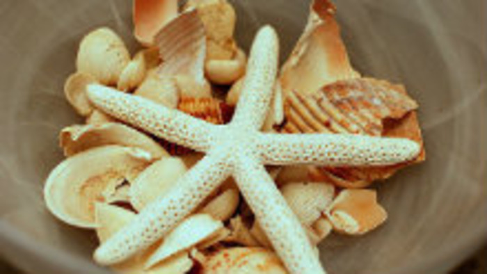 Čo nevoziť z dovolenky?