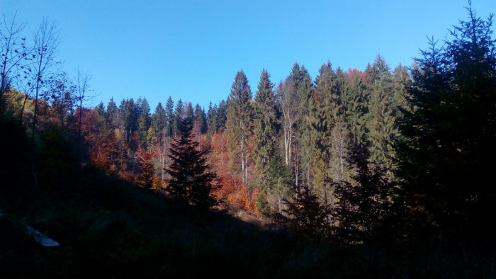 V baniach nad Breznom