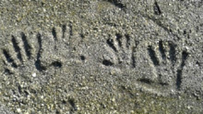 Dobrovoľníci z Česka prišli pomáhať na rakúsko-maďarské hranice