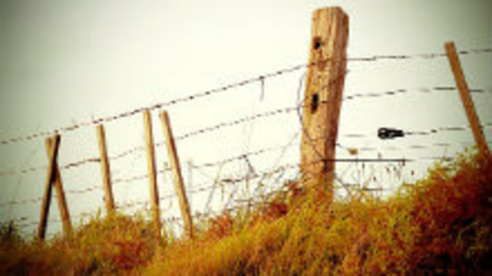 Z futbalového ihriska pozemok na bytovú výstavbu...