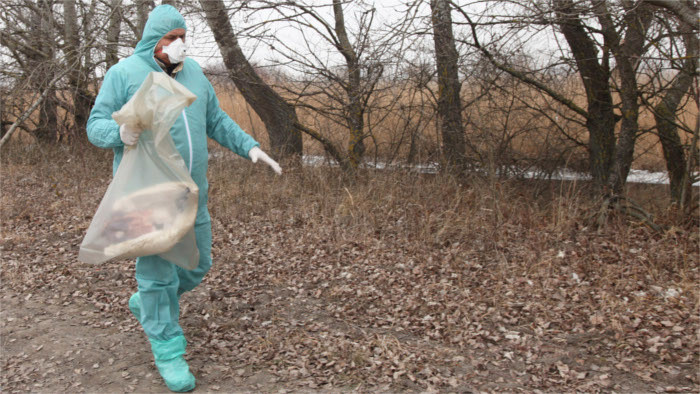 Bird flu also in Slovakia 