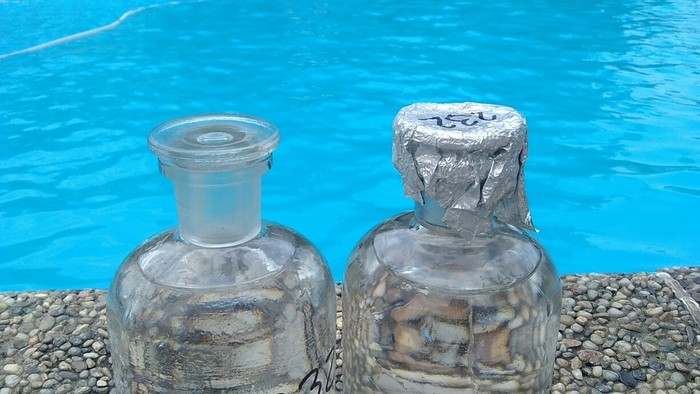 Foto 2.jpg
