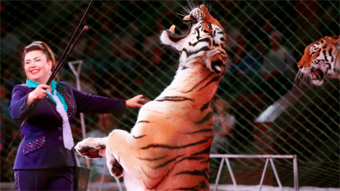 En Eslovaquia ya no será posible ver en circos animales salvajes 