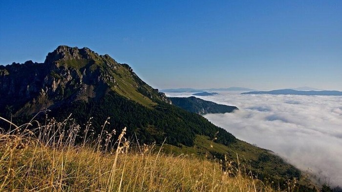 Haluzická tiesňava
