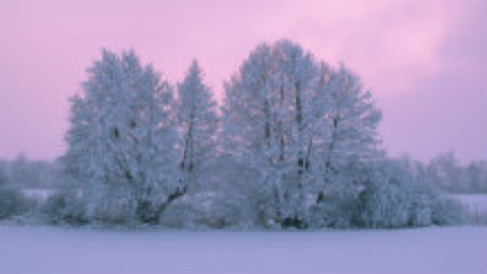 Rádiovíkend 26. 1. 2019 - pozvánky
