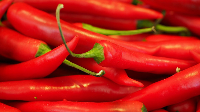 Chilli farma