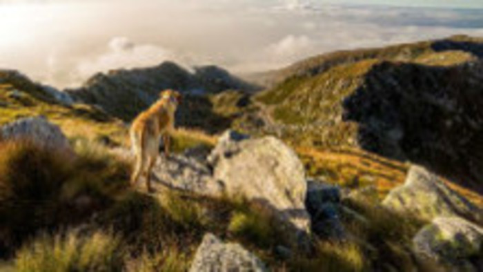 Rádiovíkend 14. 9. 2019 - pozvánky