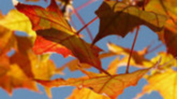 Rádiovíkend 30.9.2017 - pozvánky