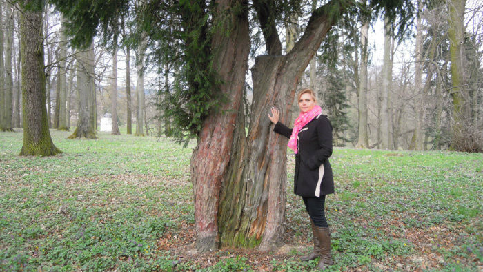 Historický park v Lednických Rovniach       
