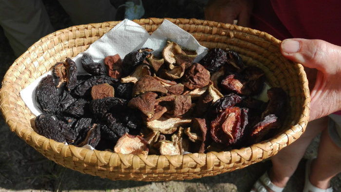 Stará sušiareň ovocia znova funguje