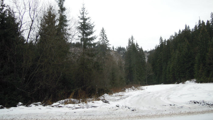 Snímka 8.JPG