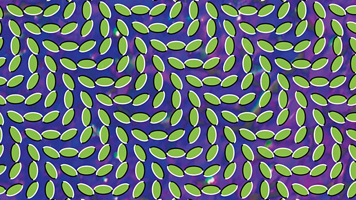 Kultový album_FM: Animal Collective - Merriweather Post Pavillion