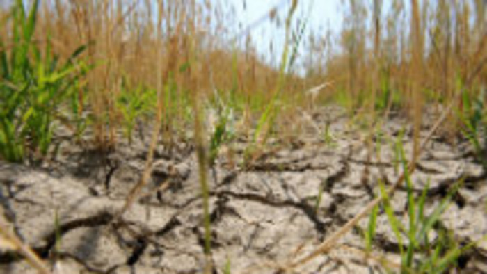 Horúca a suchá jar láme rekordy