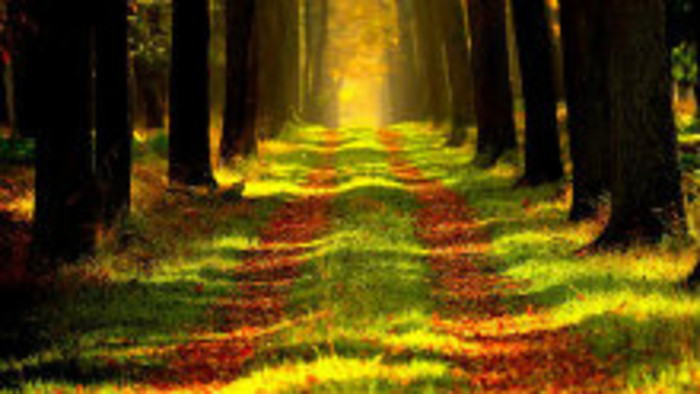 Rádiovíkend 5.10. 2019 - pozvánky