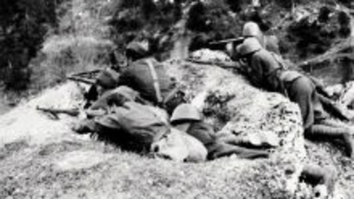 Partizánska republika