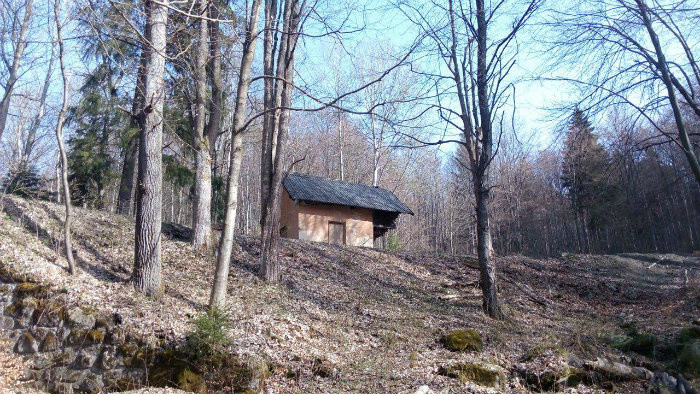 05.jpg