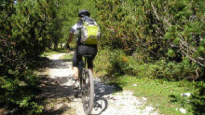 Cyklistika v lese