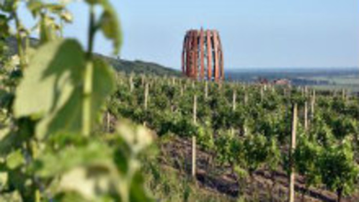 Tokajská vínna cesta