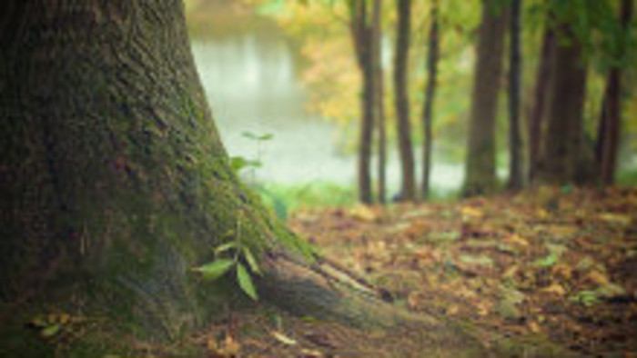 Rádiovíkend 15.8.2015 – pozvánky