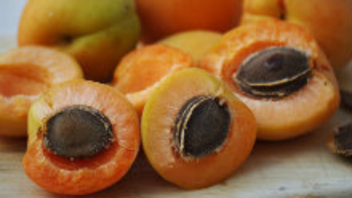 Marhuľové jadierka a vitamín B17