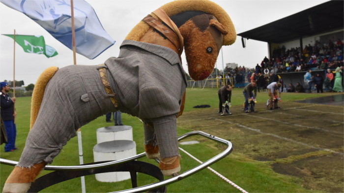 Rocking horse steeple chase