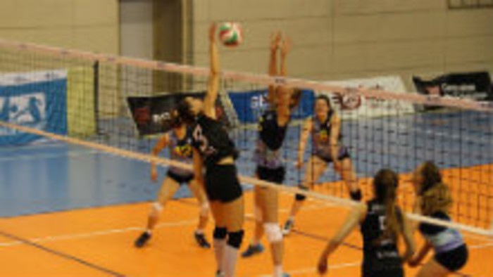Volejbal v Zlatej európskej lige