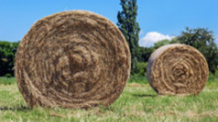 K veci: Dotácie pre mladých farmárov