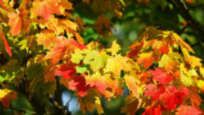 Rádiovíkend 1.10.2016 – pozvánky