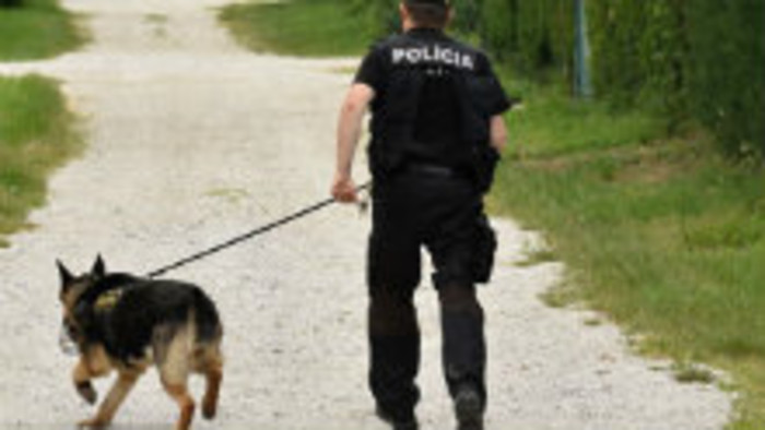 Svedkovia a ich úloha