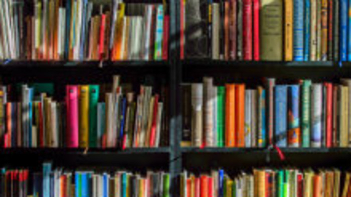 Biblionoc v ruskom centre 