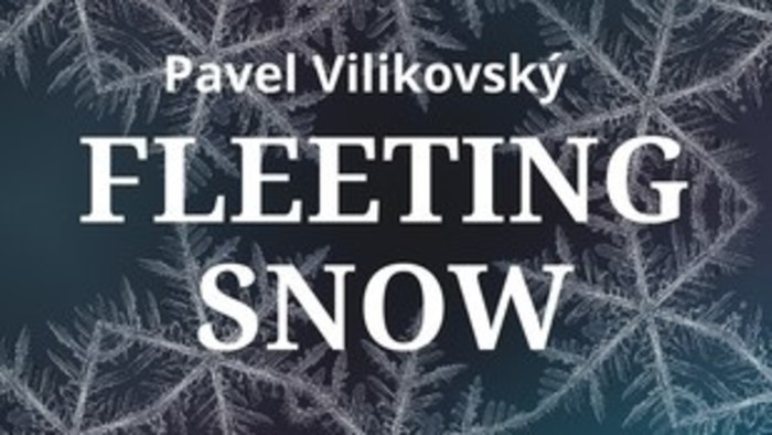 V angličtine vyšli len dva preklady Vilikovského