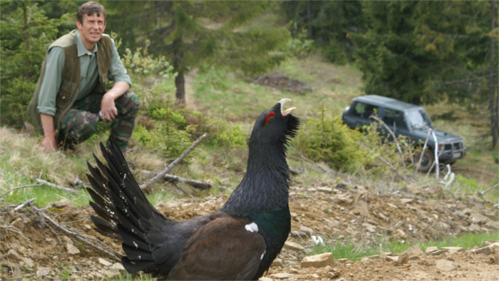 La CE reclama a Eslovaquia una mejora en la protección de aves silvestres
