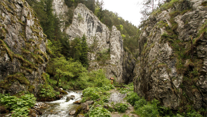 Caminos - 6a ronda – la región de Liptov