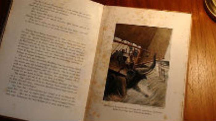 Anasoft Litera – výstava ilustrácií