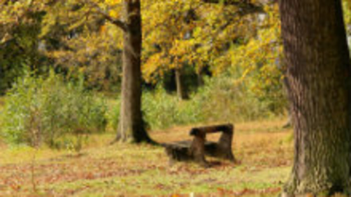 Rádiovíkend 4. 11. 2017 - pozvánky