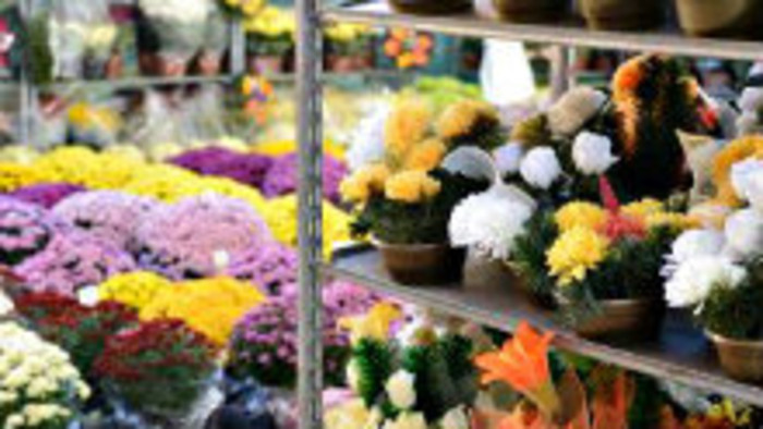 Posledné prípravy pred dušičkovým víkendom