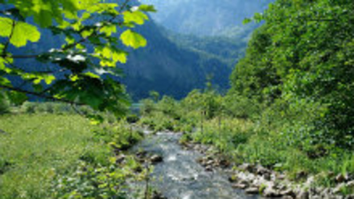 K veci: Predsedníctvo EÚ a životné prostredie...