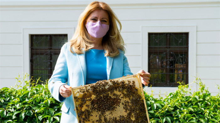 Bienen im Garten des Palais Grassalkovich 
