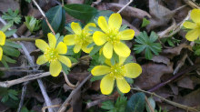 Rádiovíkend 19.3.2016 – pozvánky