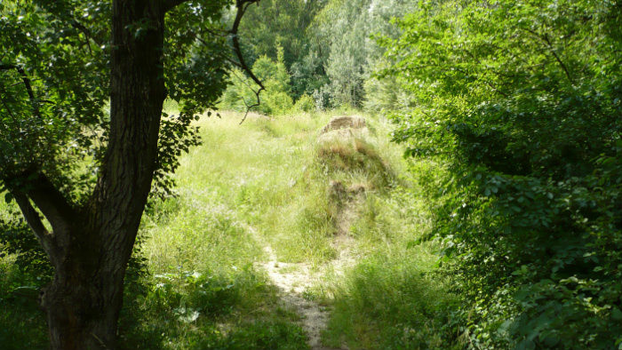 Malá Vrbina