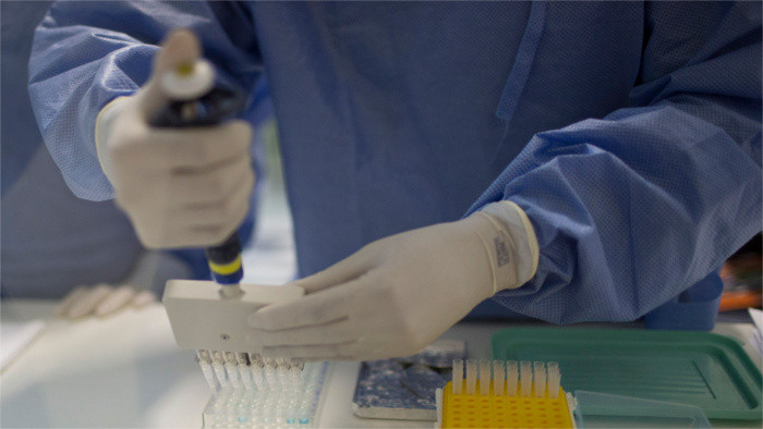 Slovakia has not adopted the new WHO health regulations