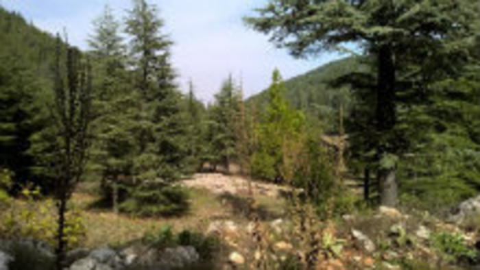 Rádiovíkend 28.5.2016 – pozvánky