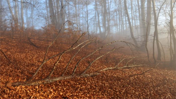 November 2020 was warmest in history