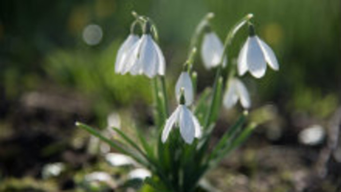 Rádiovíkend 5.3.2016 – pozvánky