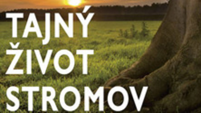 Peter Wohlleben: Tajný život stromov