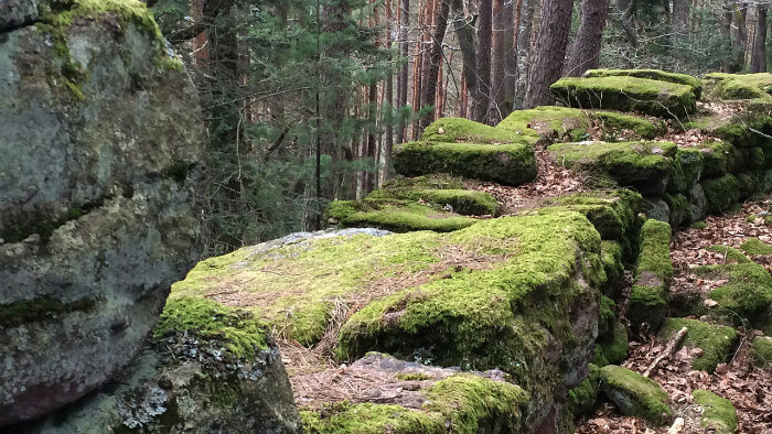 Hrad Rákoš