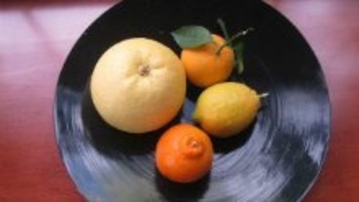 Citrusy za oknom