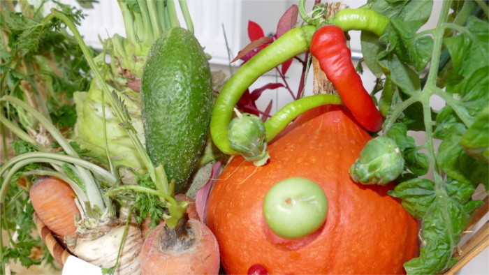 Obst, Gemüse und Blumen: Zu Besuch in der Fachmittelschule in Kravany nad Dunajom