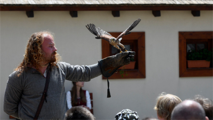 Сокольники со всего мира снова соберутся в Словакии