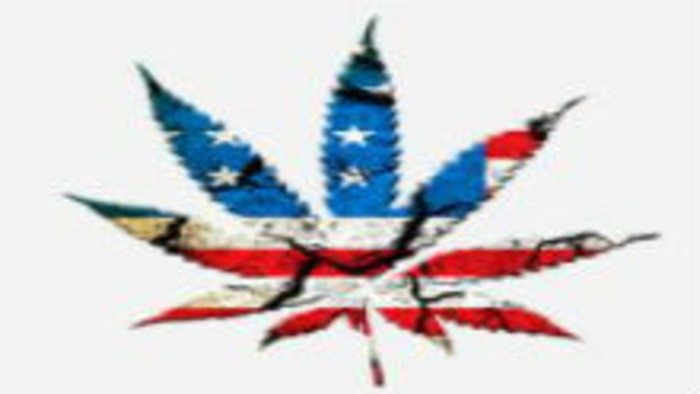 Szavazás a fű legalizációjáról